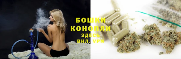мет Бородино
