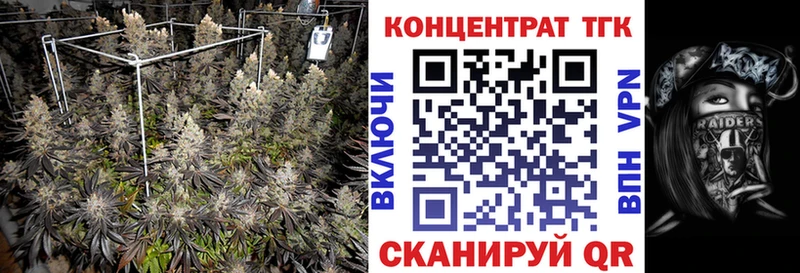 KRAKEN tor  Нолинск  Дистиллят ТГК гашишное масло 