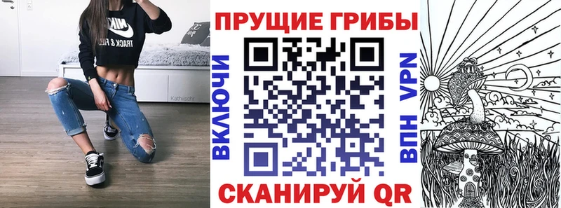 Псилоцибиновые грибы ЛСД  Нолинск 
